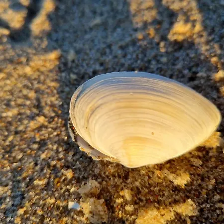 Platinium 17 아파트 3*